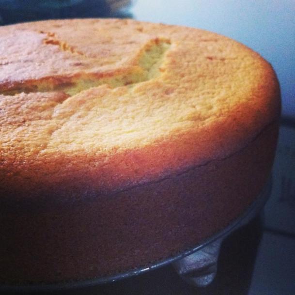 482474_10152819325995220_731125147_n