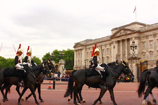 1231285_10153276135060220_1218609193_n