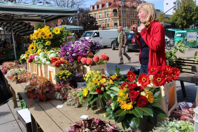 1239570_10153283278625220_858664558_n